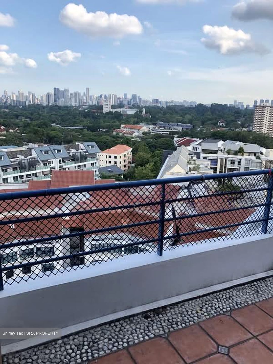 Nineteen Shelford Road (D11), Condominium #568232721